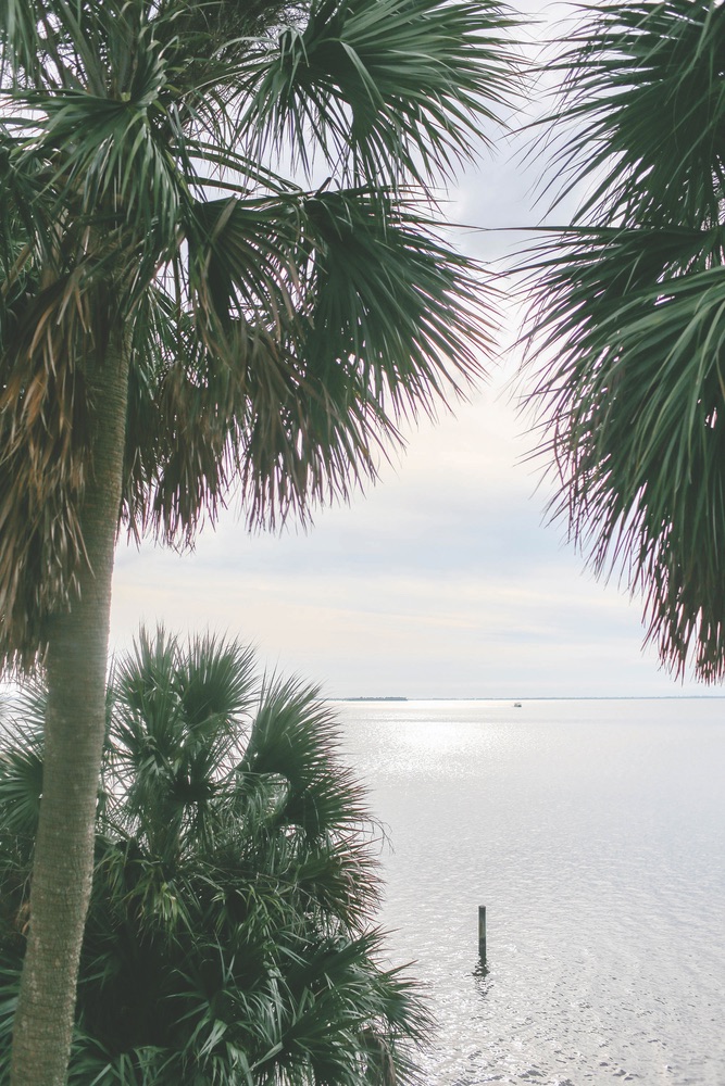 There’s nothing quite like palm trees overlooking the water to convey the spirit of Old Florida.