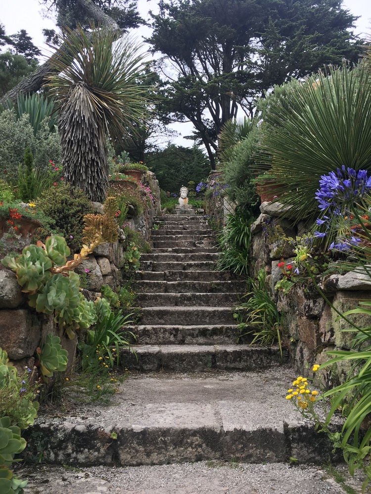 Tresco Abbey Gardens on Scilly Isles in England