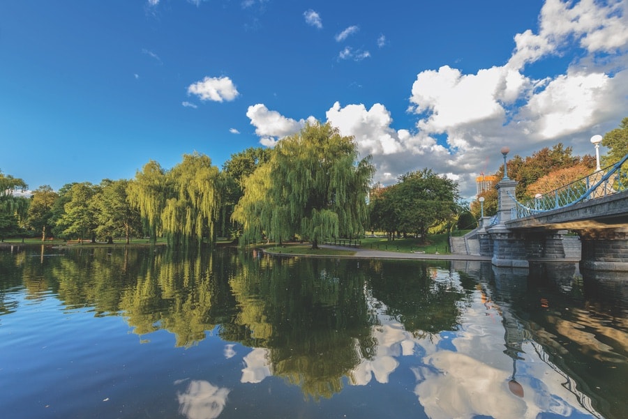 Overlook of the water at the Boston Public Garden. 