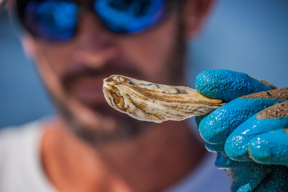 oysters at Peats & Pearls Foo Foo Festival in Penascola, Florida