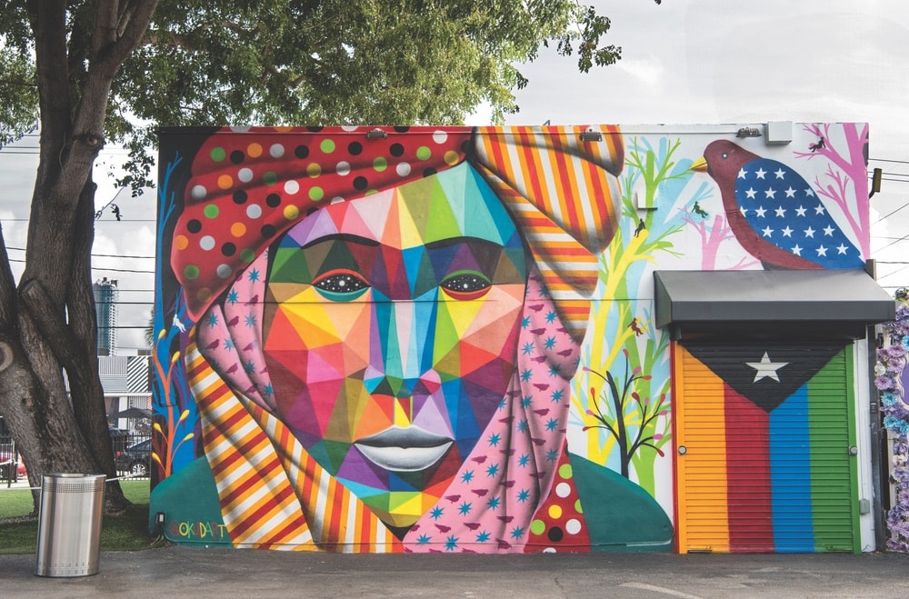 The Wynwood neighborhood is known for its vibrant art culture, galleries, shops, and eateries. Pictured here is a mural by Okudart called Asiafricalism. Photo by Martha Cooper