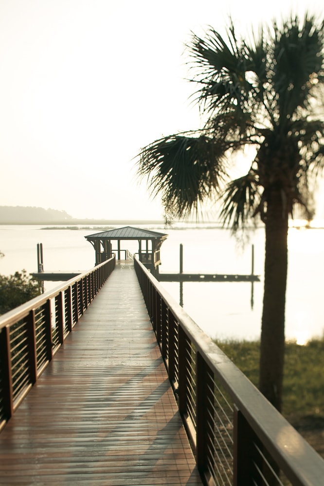 Dock Views and a Palm Tree at Montage Palmetto Bluff