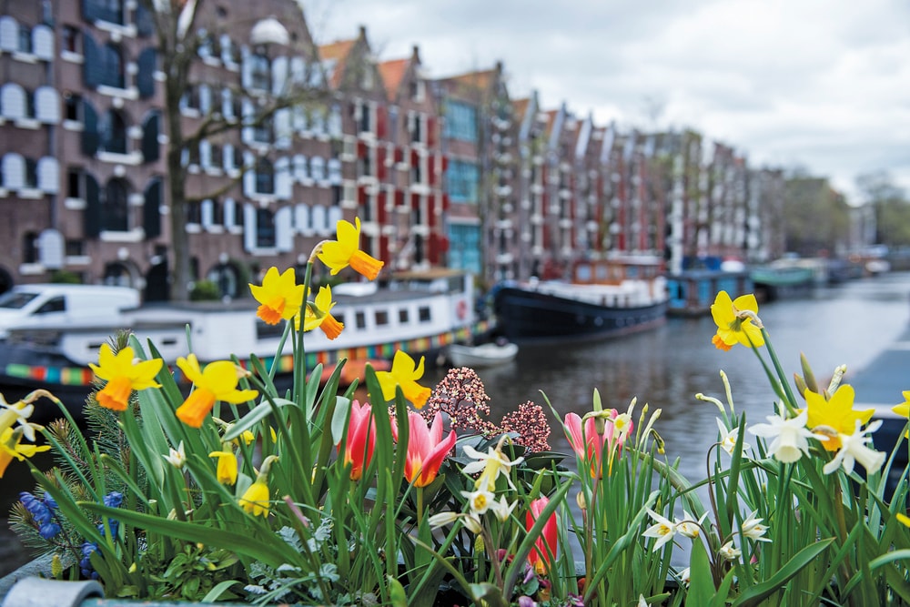 A beautiful flower box overlooking a canal in Amsterdam.