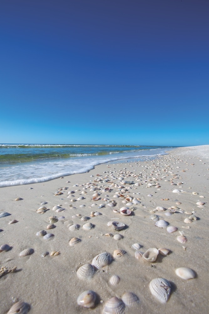 Cola 2 Cola; Travel Guide; Northwest Florida’s Gulf Coast; Emerald Coast; Mexico Beach; shell shack