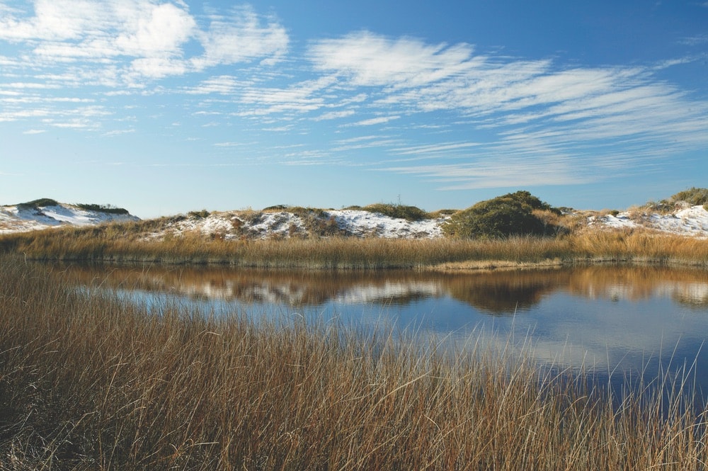 View of coastal dunes and Western Lake at the Grayton Beach State Park in Walton County, Florida