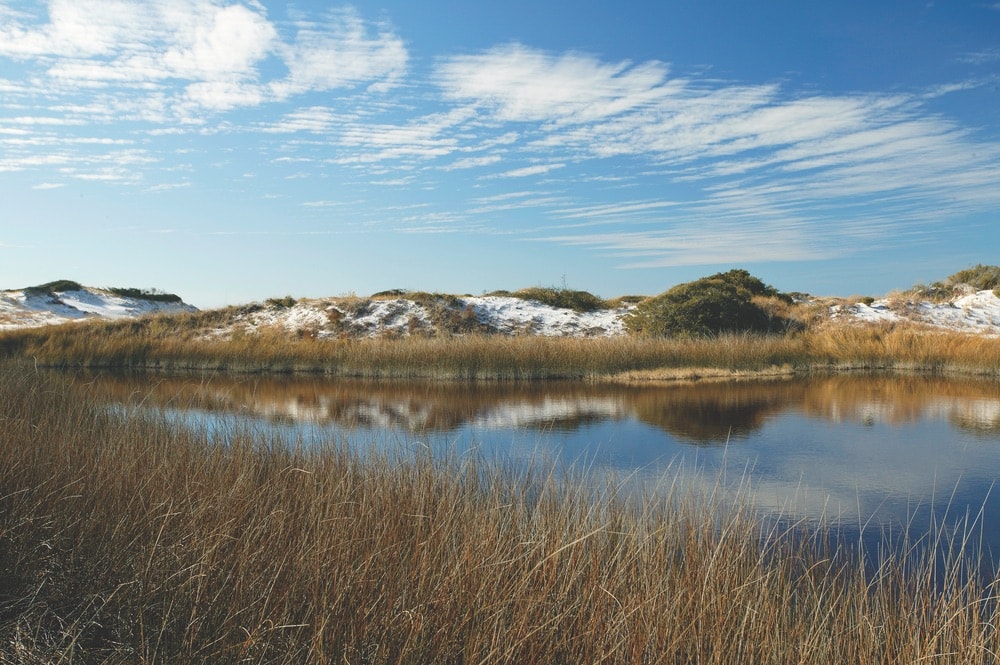 Cola 2 Cola; Travel Guide; Northwest Florida’s Gulf Coast; Emerald Coast; Walton County; Western Lake; Grayton Beach State Park; dune lakes