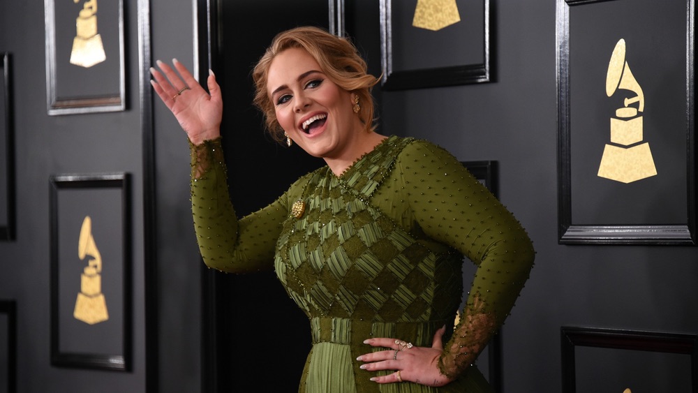 Superstar songstress Adele waved "Hello" on the red carpet at the 2017 GRAMMY Awards.