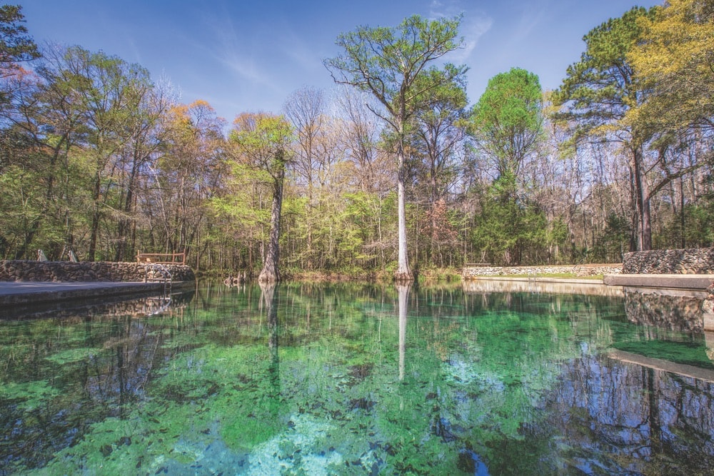 Brilliant clear waters abound at Ponce de Leon Springs State Park.