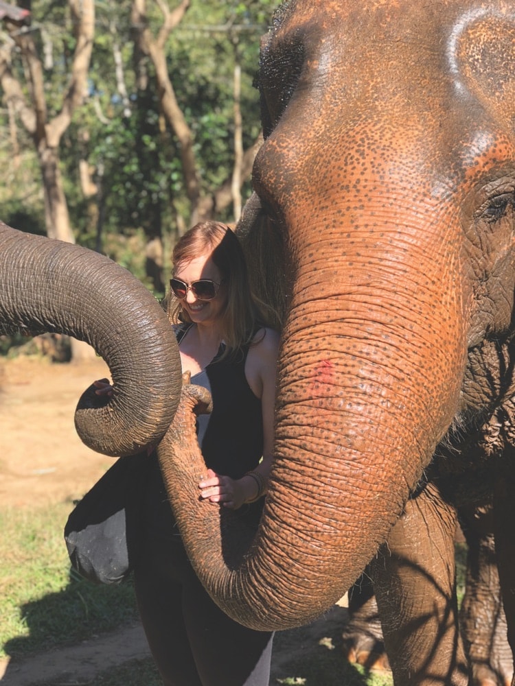 Crystal Hamon poses with one of the adorable elephants at Chai Lai Orchid elephant rescue.