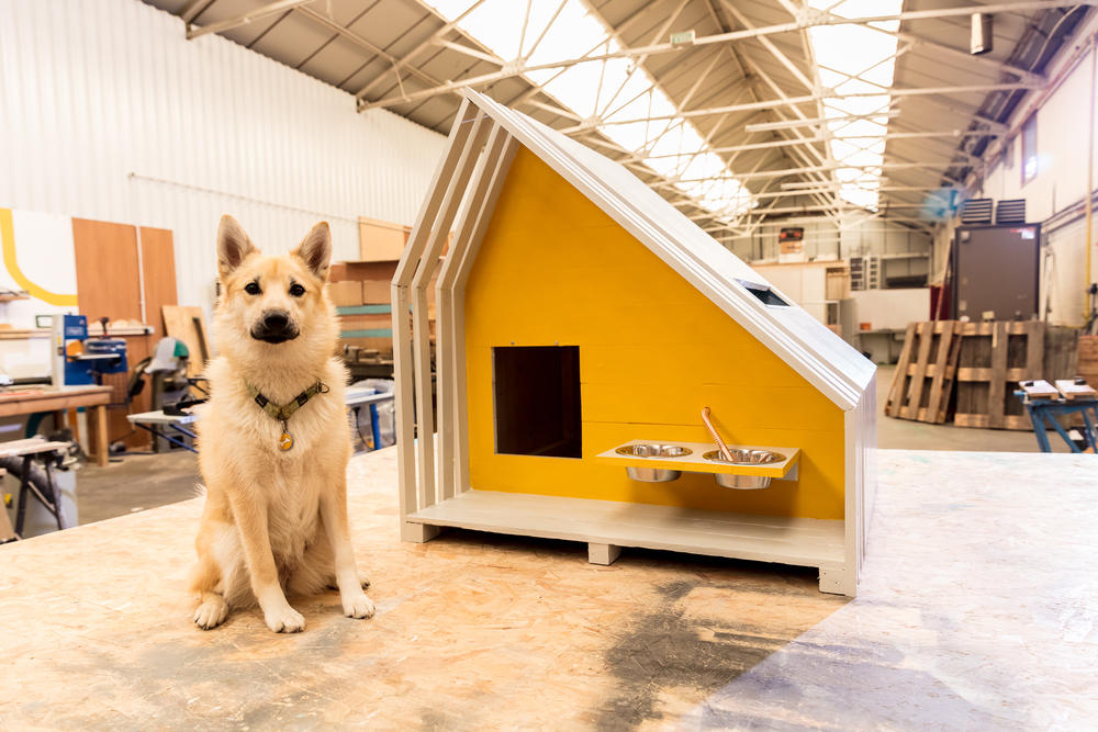 A dog outside his modern doghouse