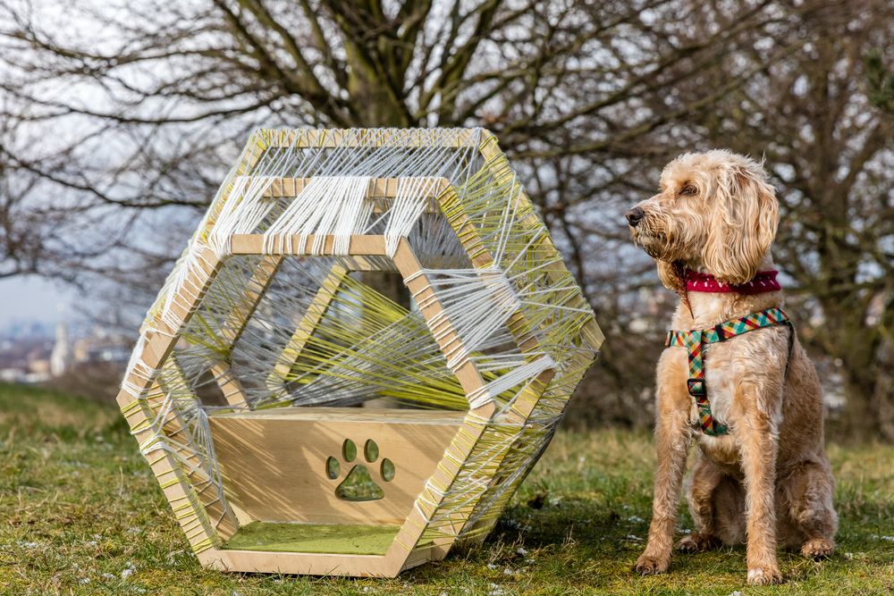 A dog posing in front of his modern dog house