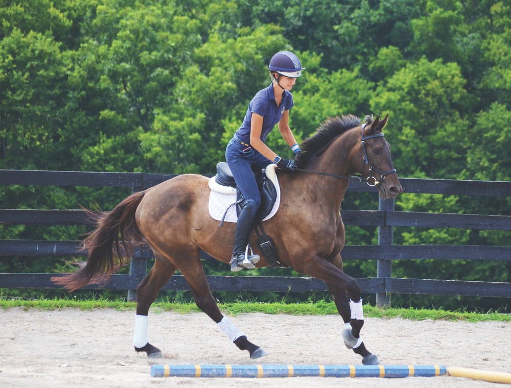 Off-the-track Thoroughbred (OTTB) That’s Nothin’ in training for a second career at the Maker’s Mark Secretariat Center