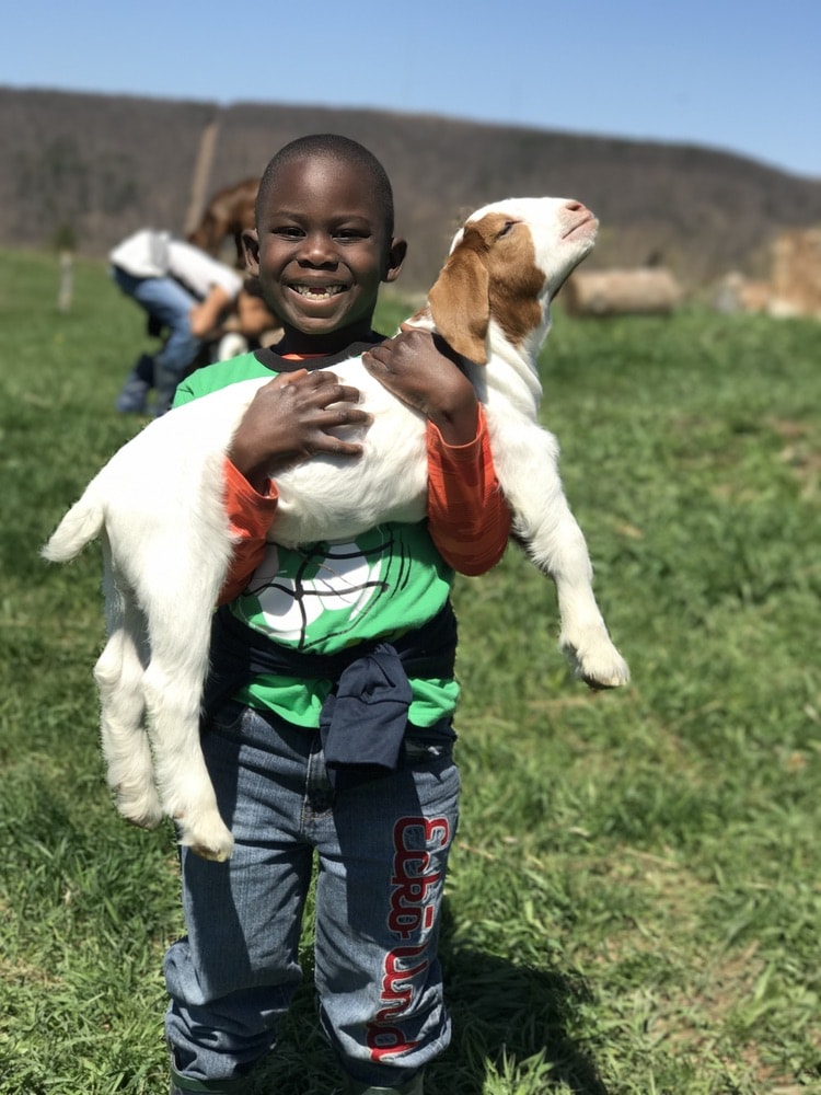 A young boy holds a goat kid during a class at ZiegenVine Homestead.