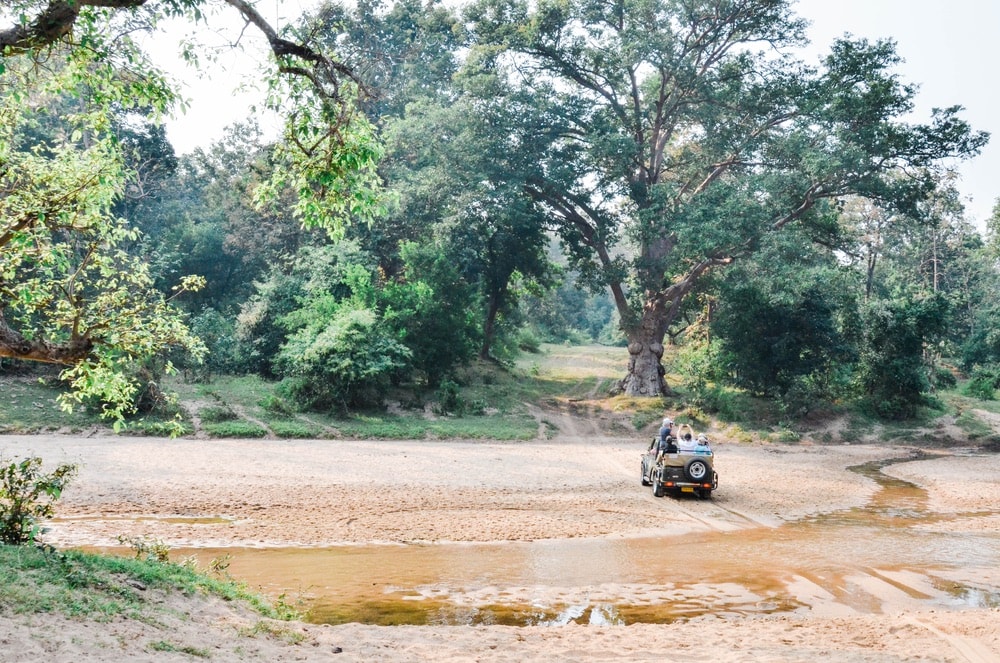 Group of people in a jeep on the search for tigers in India