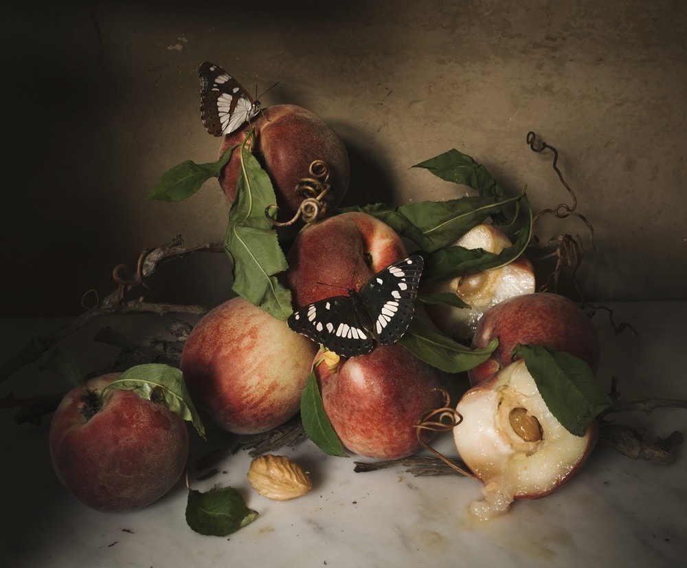Photograph by Jamie Beck showing a still life with peaches and 2 beautiful butterflies.