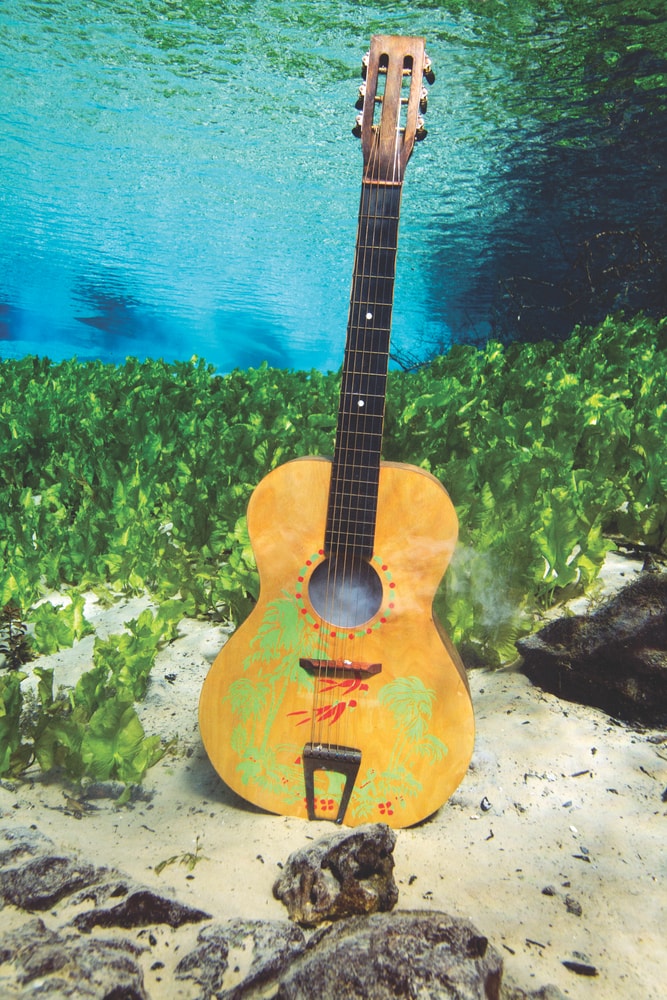 guitar under water