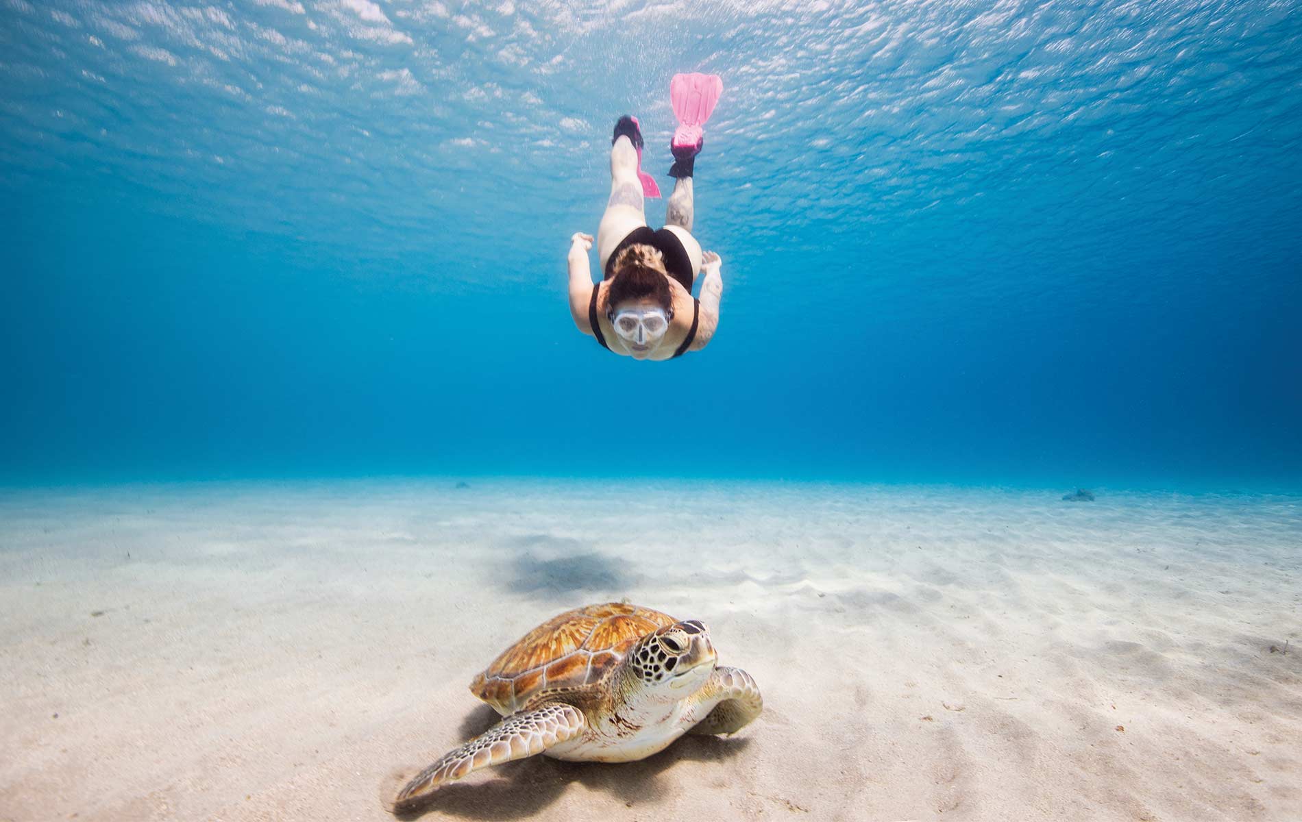 A snorkeler swims with a green sea turtle at Playa Piscado off the northwest point of Curaçao