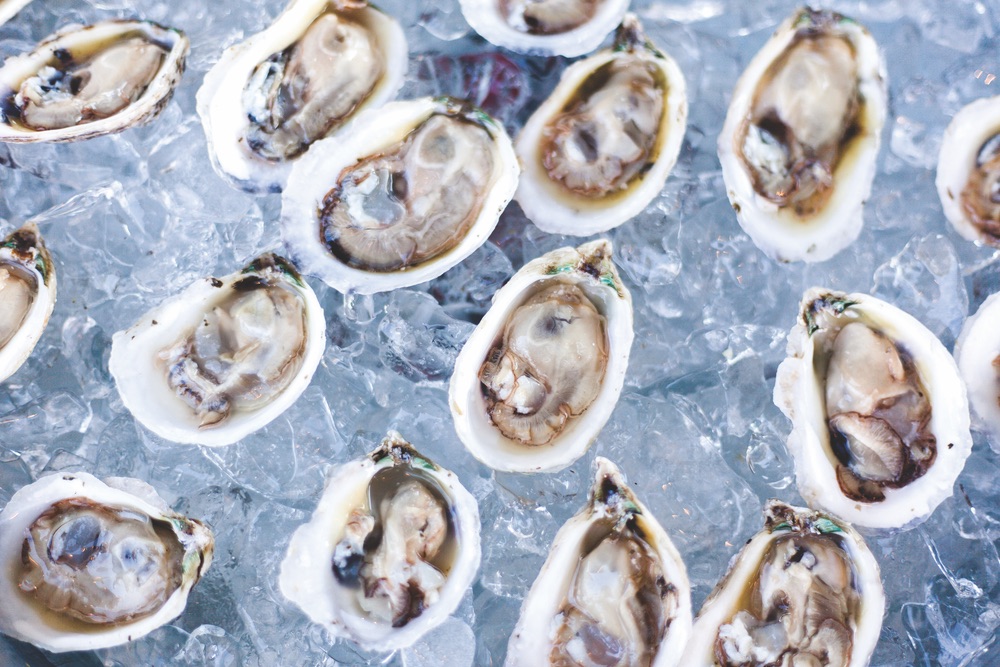 Oysters at Peat and Pearls event