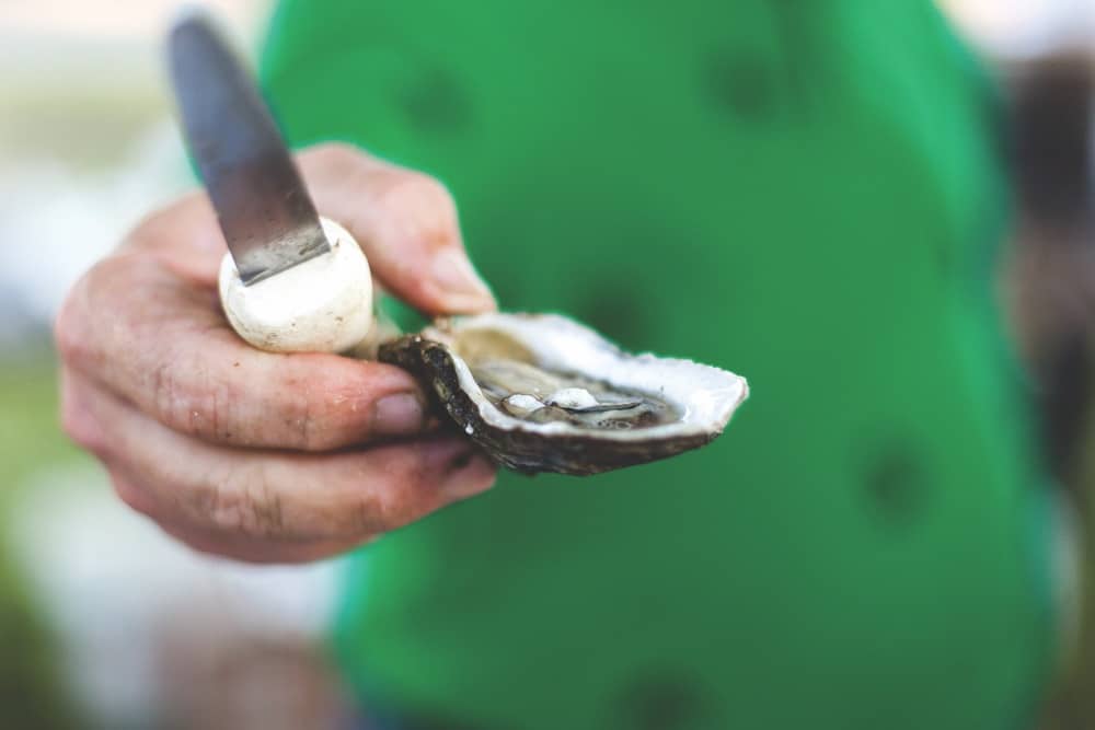 Fresh shucked oyster at Peat and Pearls event