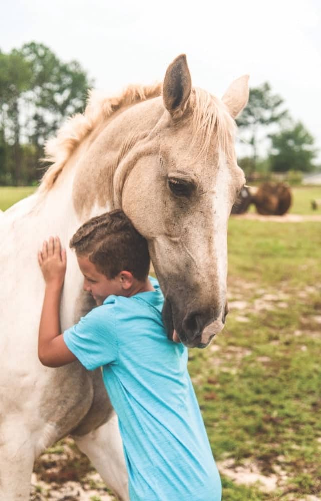 Young boy with horse