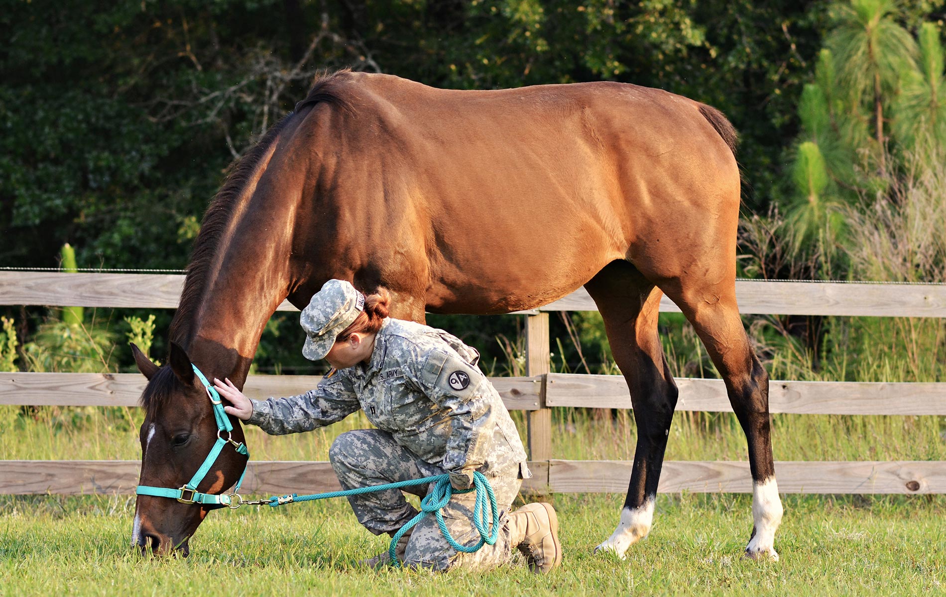 Healing Hoof Steps offers equine therapy programs for veterans, at-risk youth, couples, and all other types of people in need of mental and emotional support.