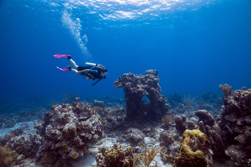 A diver explores the underwater ecosystem at Paradise dive site.
