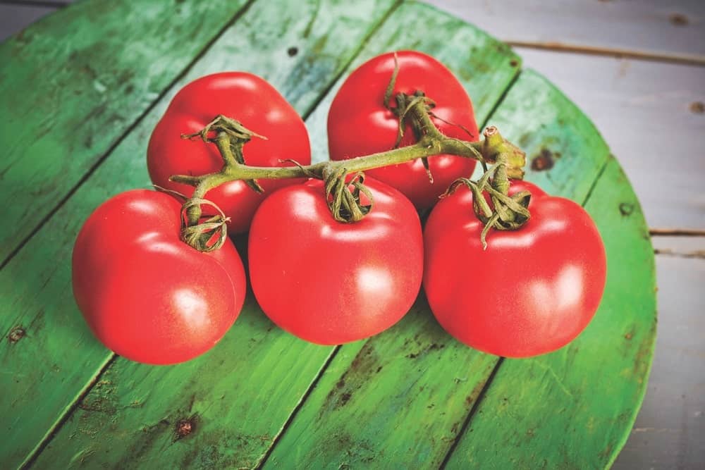 Vine-ripened tomatoes tasting of summer are the great glory of Spanish cuisine.