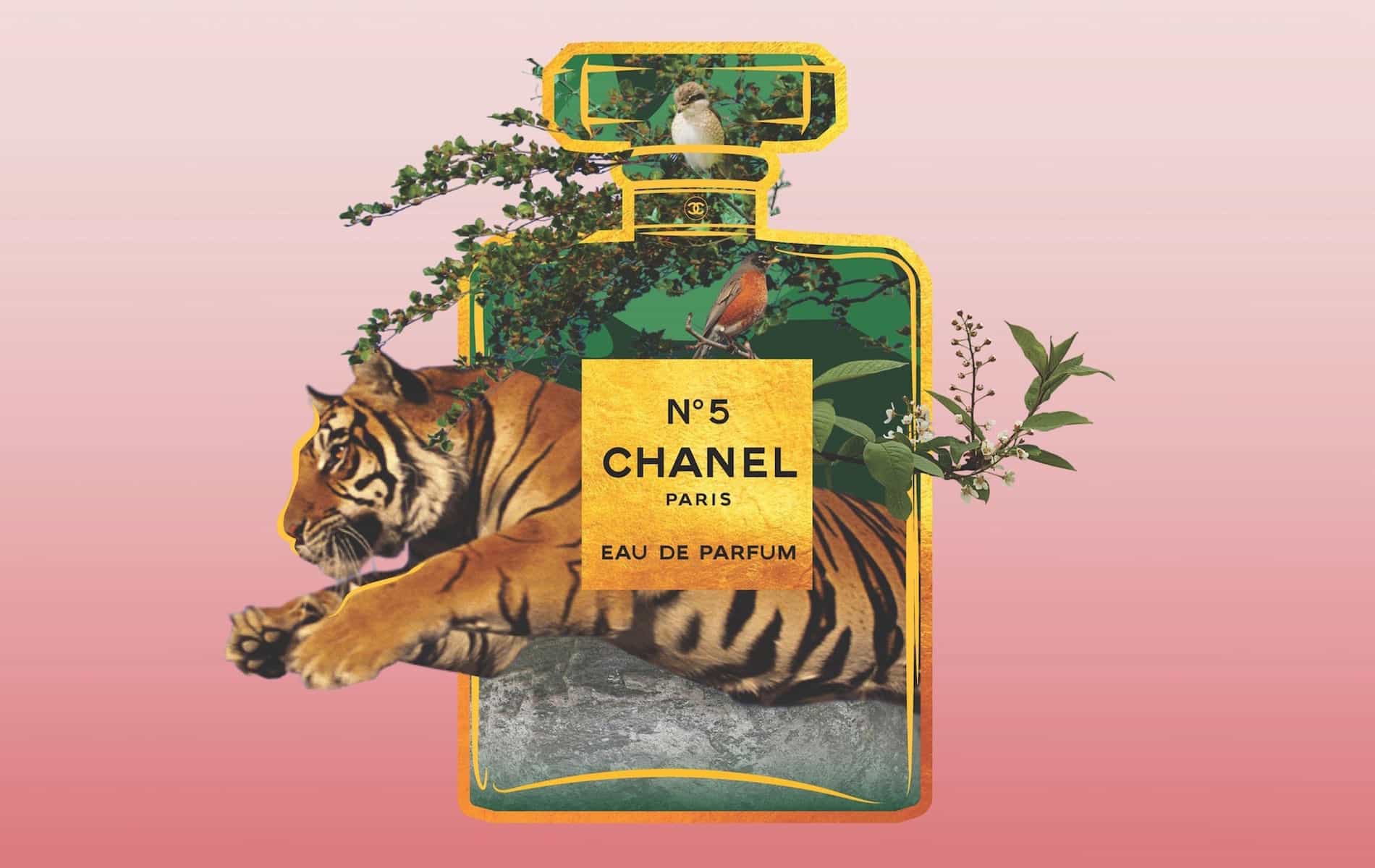 Charles Bentley, Chanel No.5, Au Revoir department page