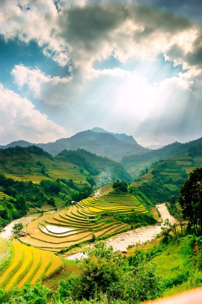 Rice fields on terraced of Mu Cang Chai, YenBai, Vietnam. Rice fields prepare the harvest at Northwest Vietnam