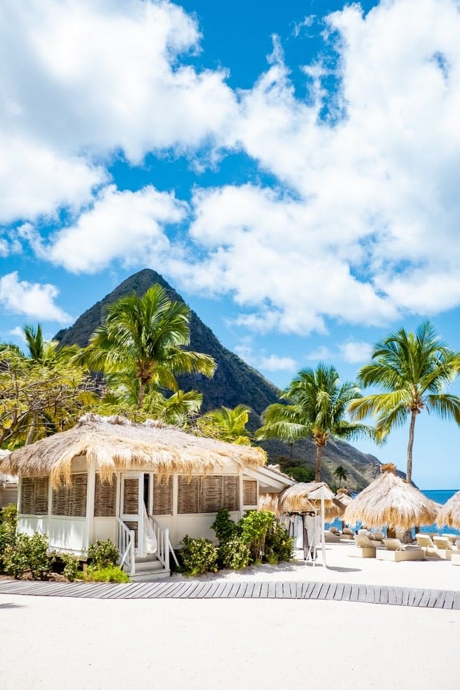 Sugar beach Saint Lucia, a public white tropical beach with palm trees and luxury beach chairs on the beach of the Island St Lucia Caribbean
