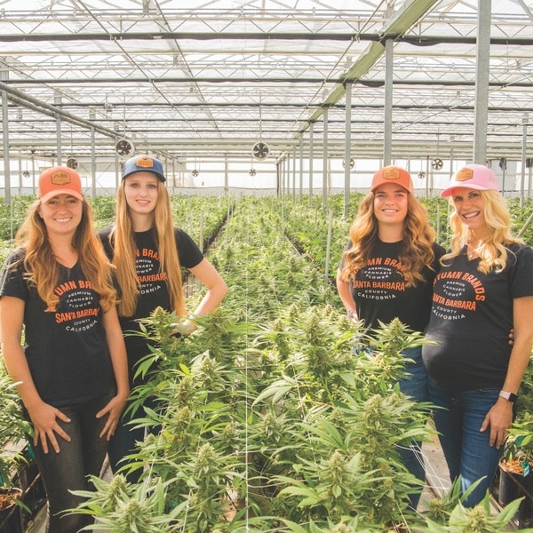 The Cannabis Association for Responsible Producers (CARP) was founded in Santa Barbara County as an organization dedicated to fostering a positive relationship between its member farms and the local community by promoting best practices among cannabis growers. CARP member farms include Autumn Brands (above), Cresco, and about twenty more.