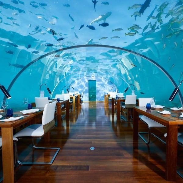 Conrad Maldives Rangali Island Muraka Ithaa Undersea Restaurant