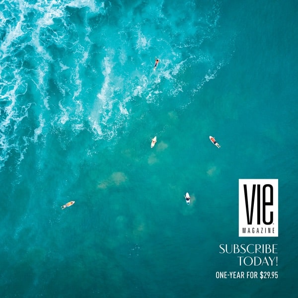 VIE Magazine, The Idea Boutique, Magazine Subscription, Subscribe to VIE, Read Responsibly