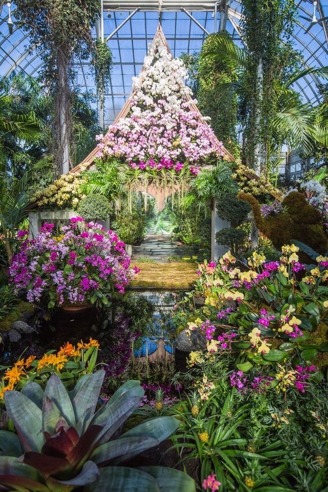New York Botanical Garden Orchid Show 2020, New York Botanical Garden, NYBG, Jeff Leatham