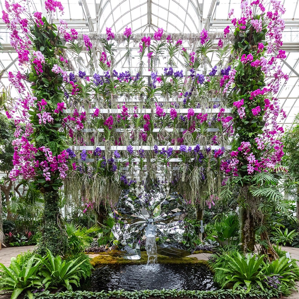New York Botanical Garden Orchid Show 2020, New York Botanical Garden, NYBG, Jeff Leatham