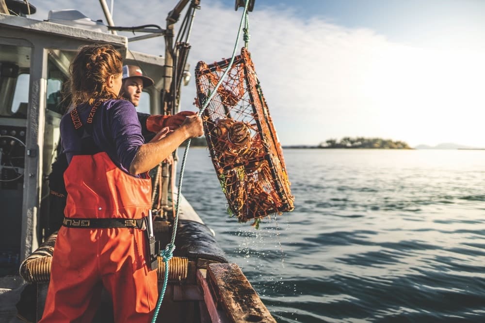 Commercial Fishing, Savannah Lishnerness and Sean Dwyer reel in a crab trap from Puget Sound