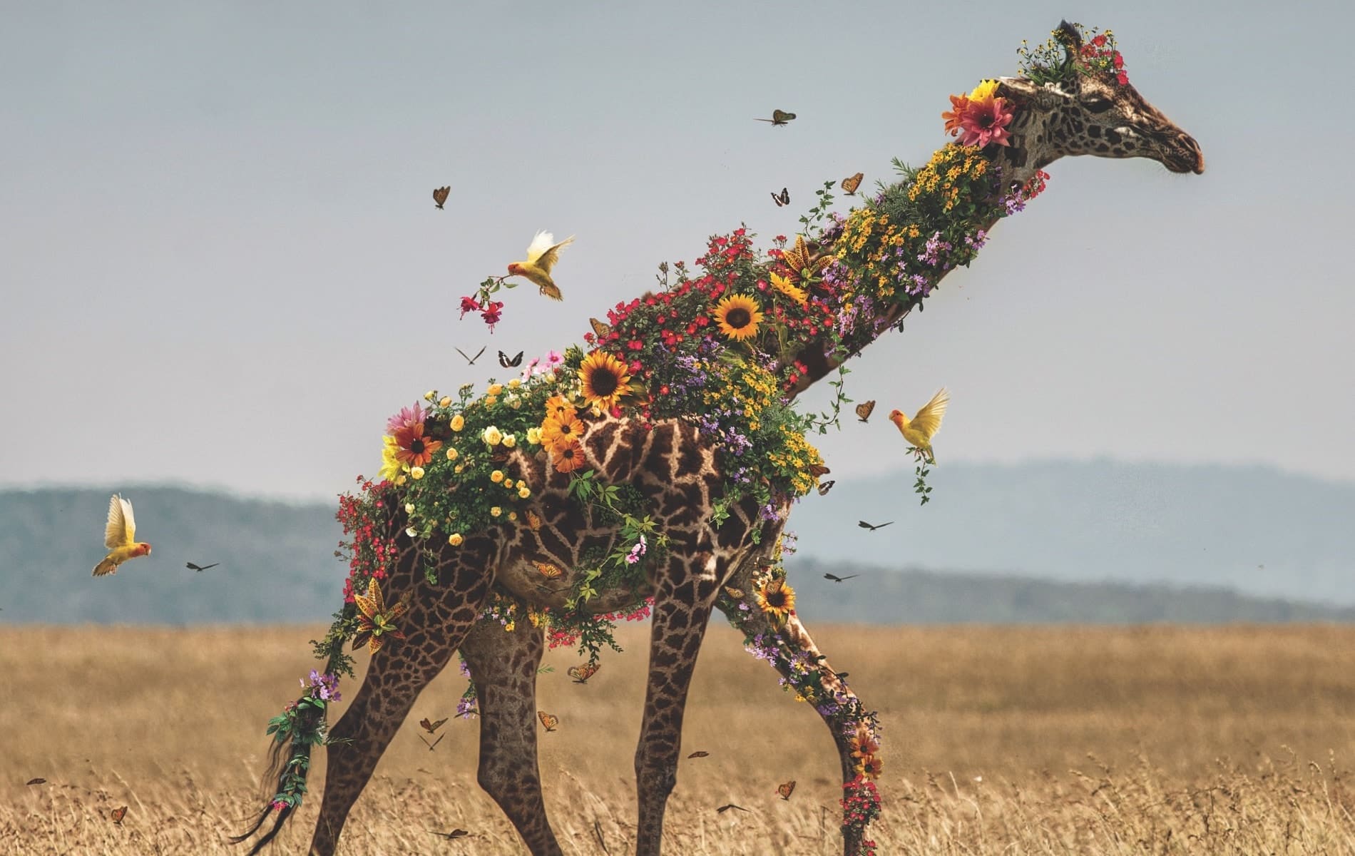 VIE Magazine L'amour Department Page, Marcel van Luit, Giraffe from The Flower Series