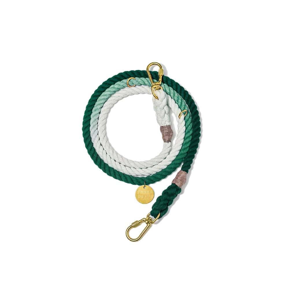Teal Ombre Cotton Rope Dog Leash, Found My Animal
