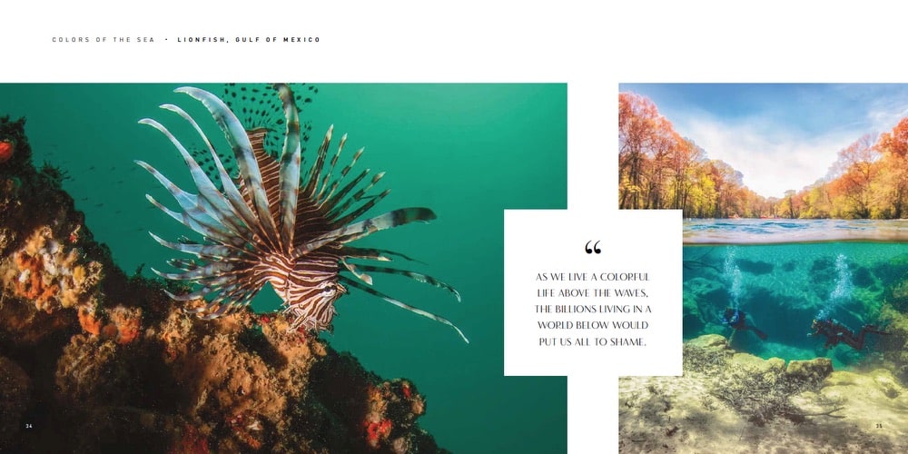 VIE Magazine, HOME—Inspirations for Home and Life by VIE, HOME by VIE, Diving, Lionfish