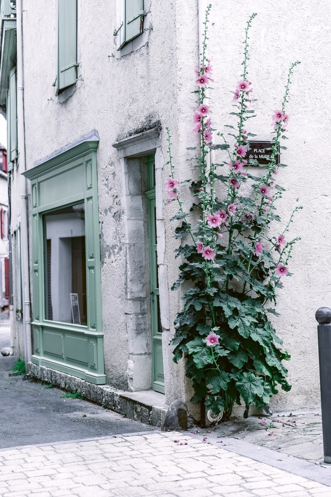Au revoir! How to French Country - VIE Magazine