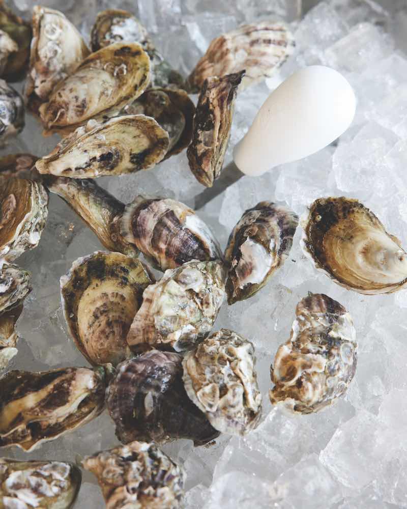 raw oyster, shucking oyster, oyster bar, alys beach, 30a restaurant
