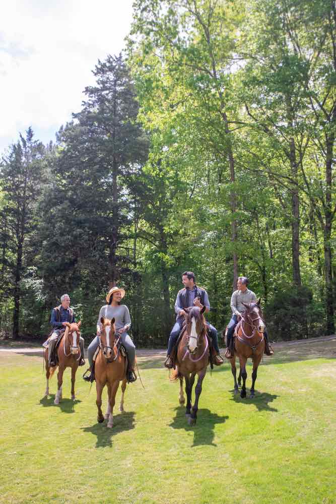 horse, horses, horseback riding, barnsley resort, georgia resort