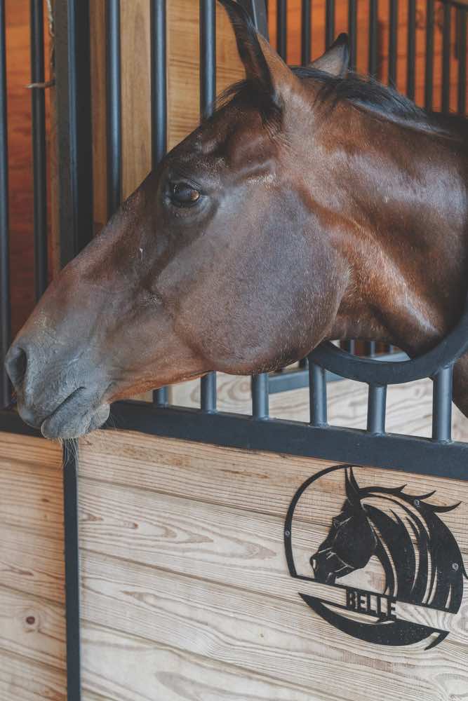 horse, farm, lovelace interiors