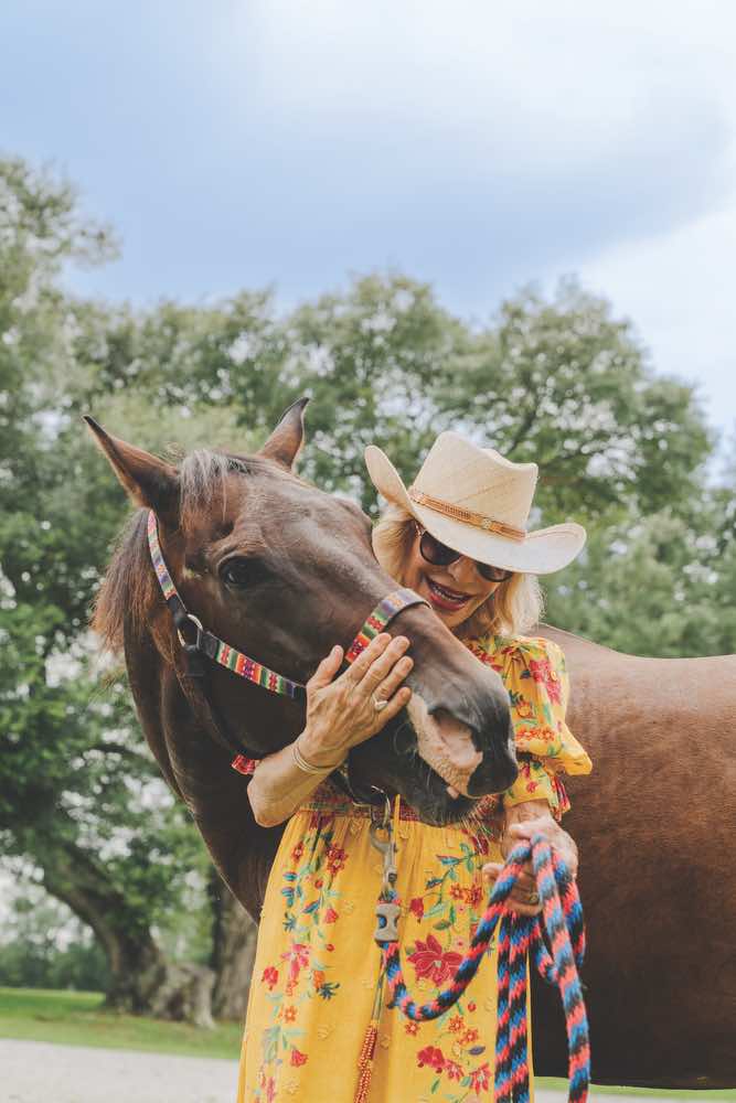 lovelace interiors, farm, interior design, susan lovelace, horse, 