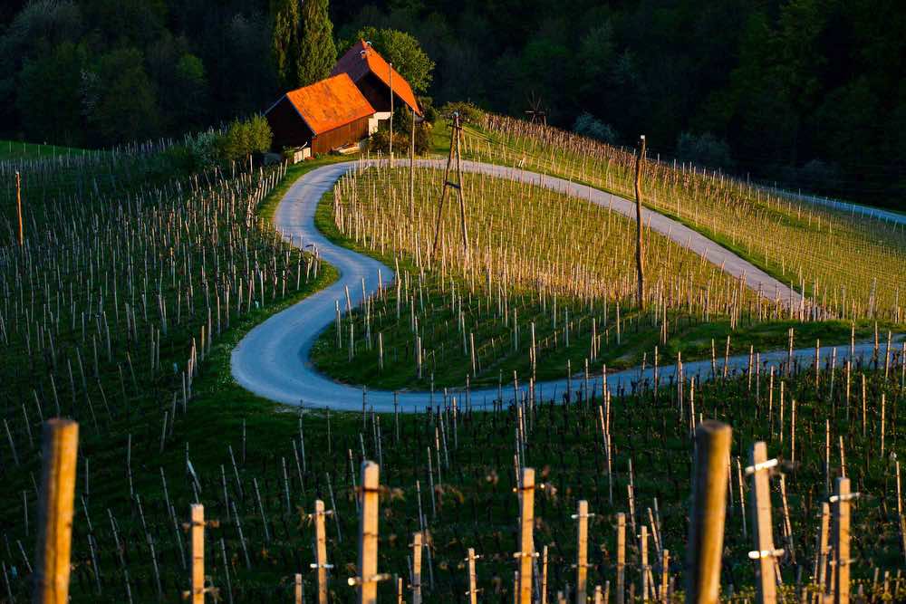 slovenia viewpoint