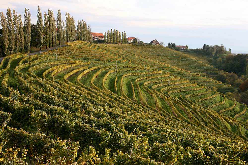 slovenia viewpoint