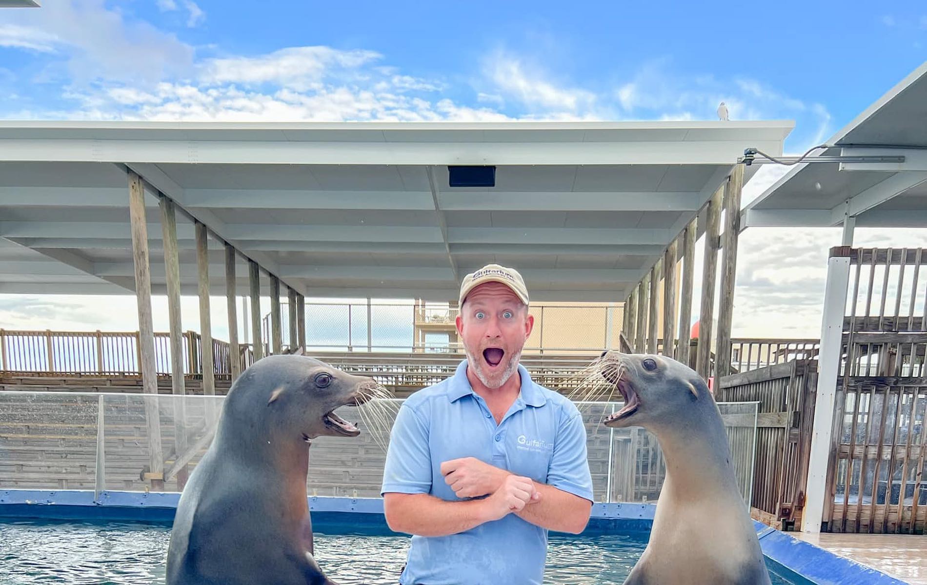 sea lion bryan, bryan martin, sea lions,