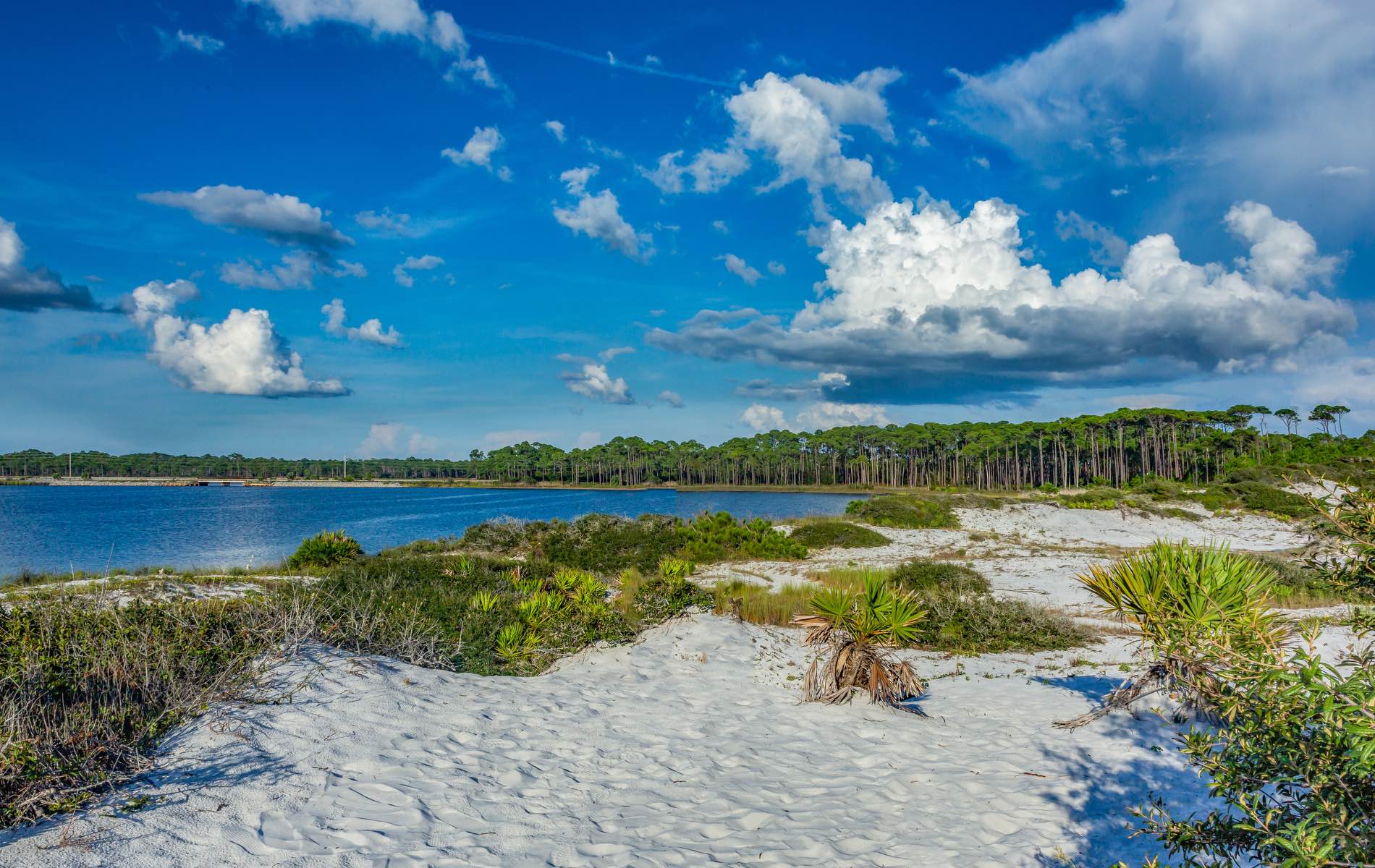 vie-magazine-explore-walton-county-HERO South Walton