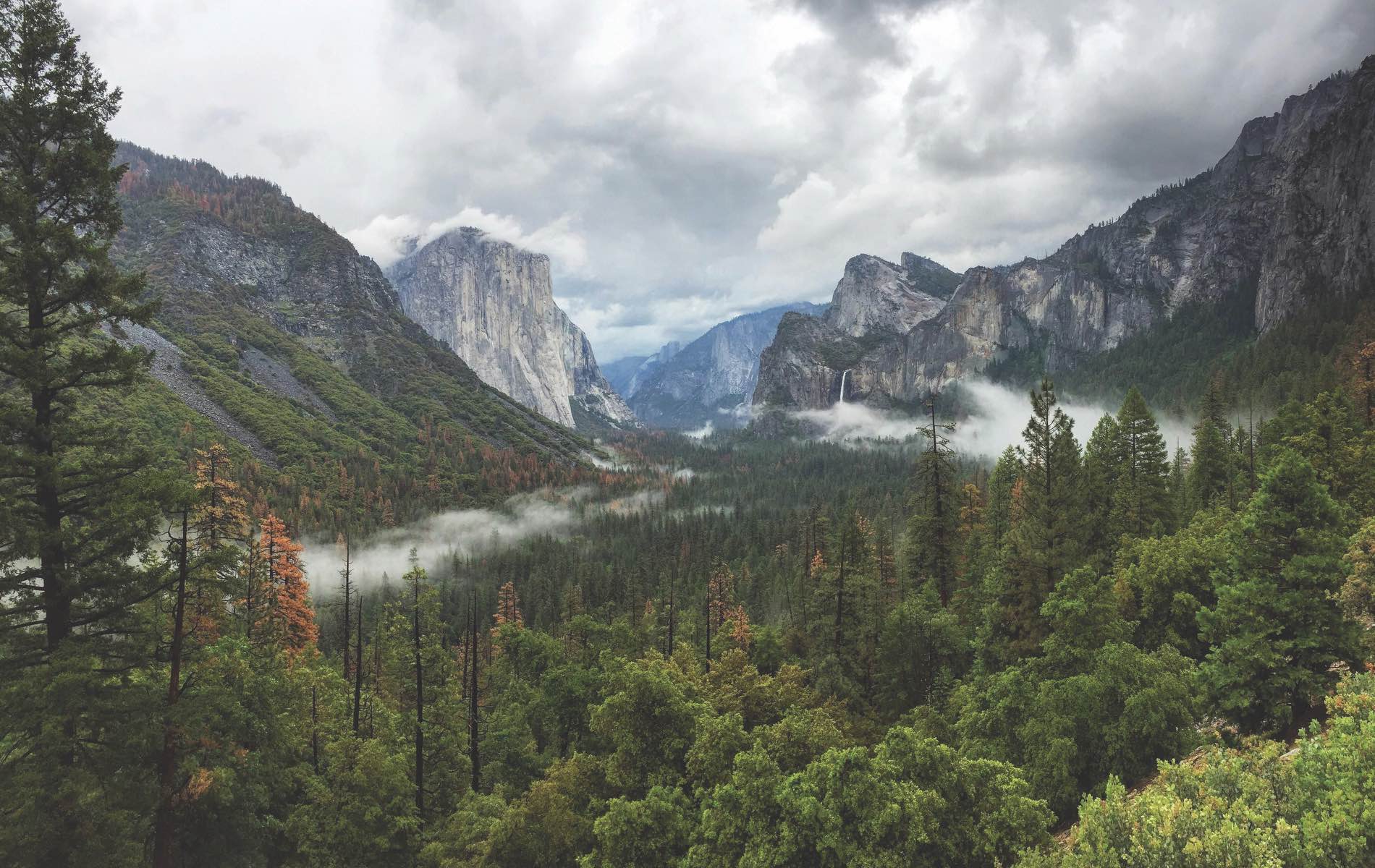 Yellowstone to Yosemite