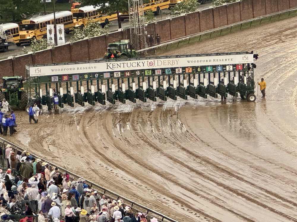 kentucky horses